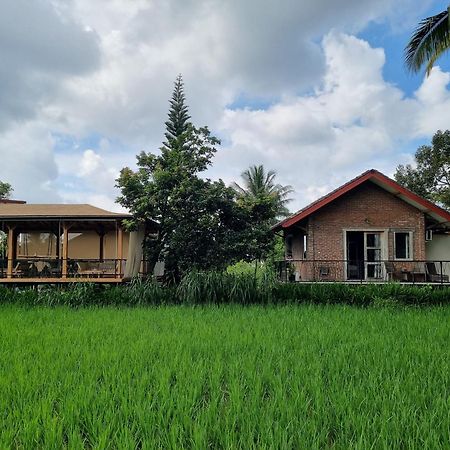 Les Rizieres Lombok - Tetebatu Hotell Exteriör bild